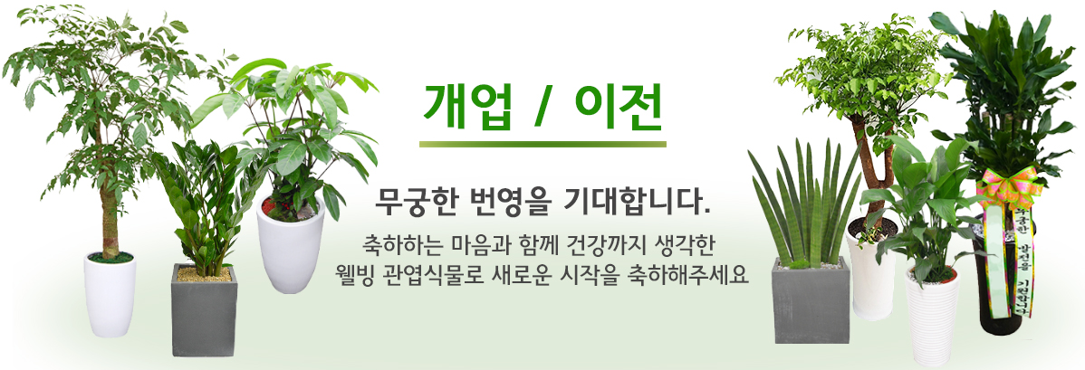 개업/이전